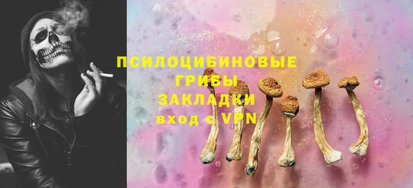 меф Богородицк