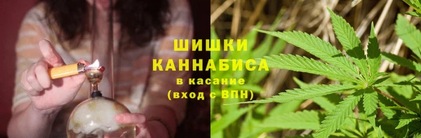 меф Богородицк