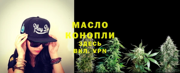 spice Богородск
