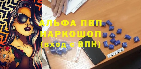 spice Богородск