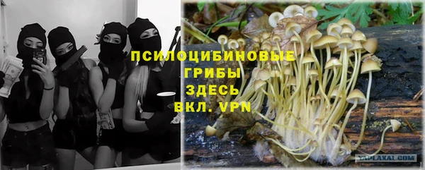меф Богородицк