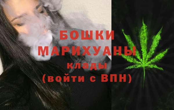 spice Богородск