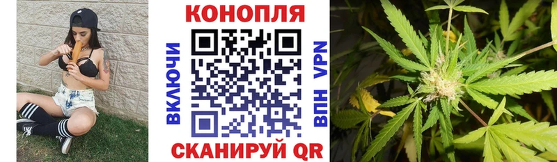 Купить закладки  Зерноград  Шишки марихуана тримм 